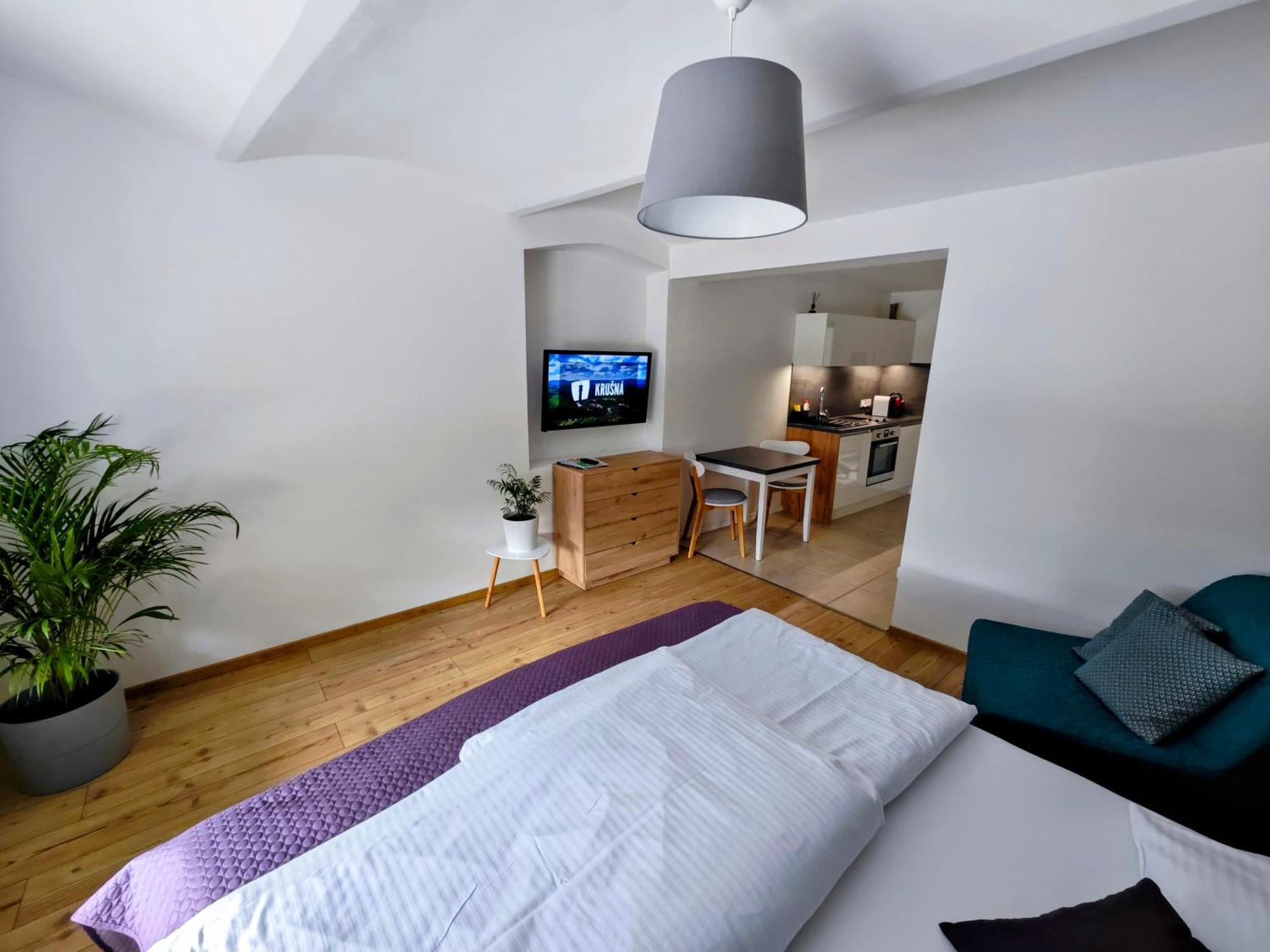 Apartmany 91 Boží Dar Chambre photo